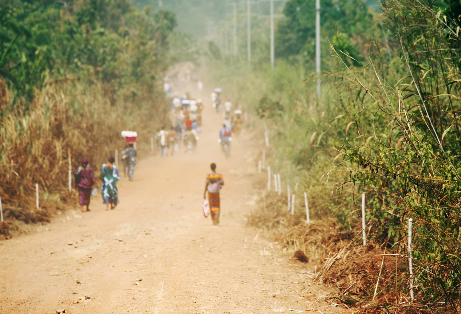 Transforming Barren Fields