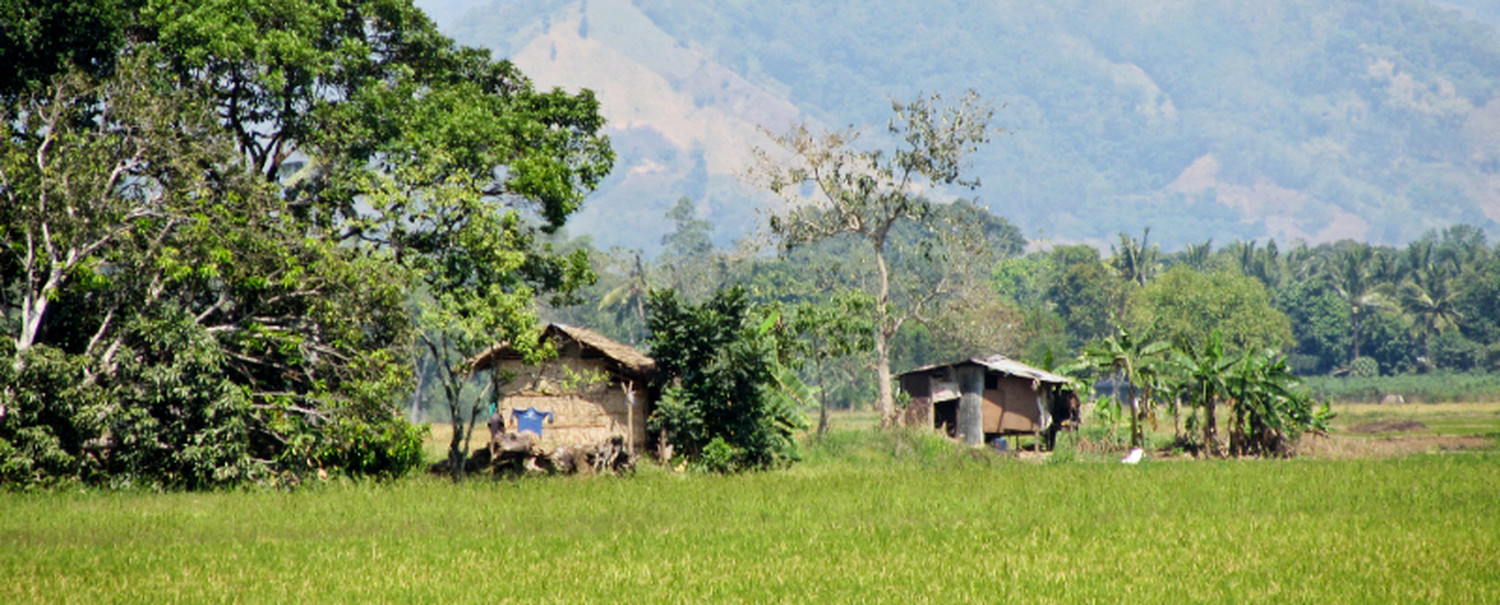 bukidnon-4.jpg